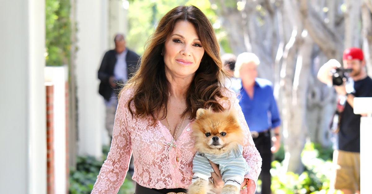 lisa vanderpump cameo  thousand dollars pandemic lockdown donated proceeds dogs r