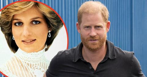 Photo of Princess Diana and Prince Harry