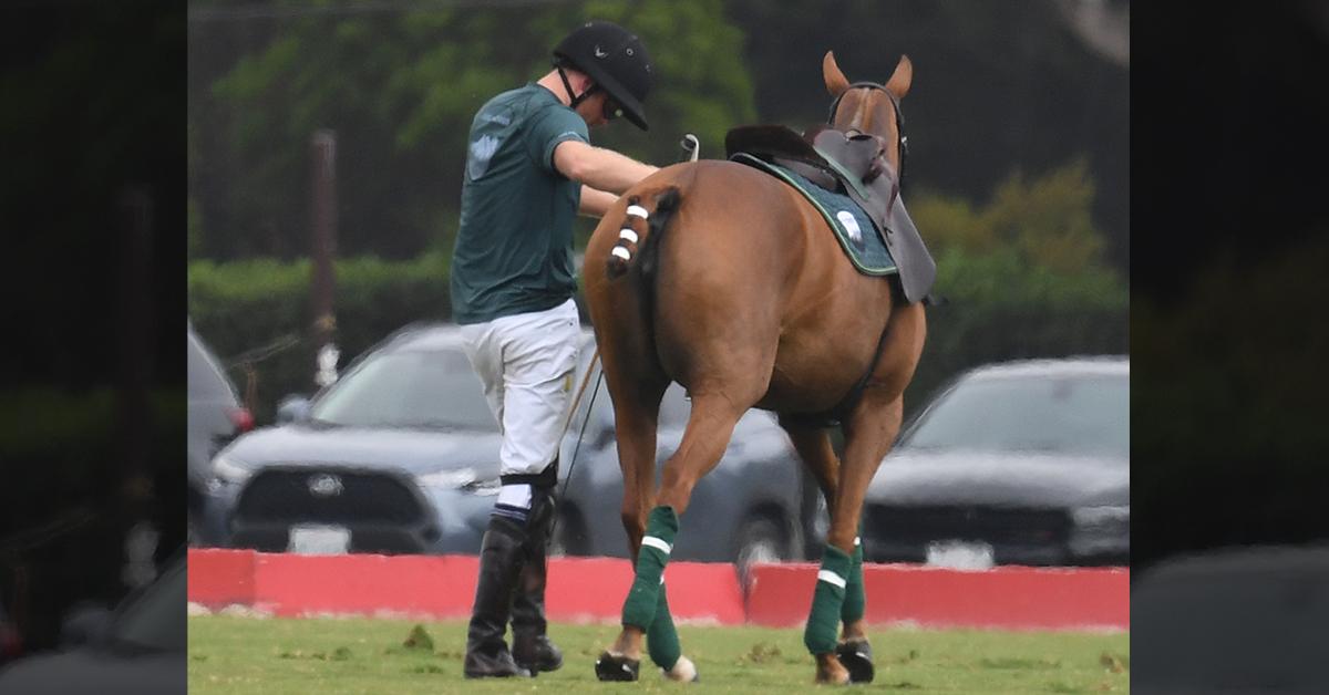 prince harry falls off horse photos jubilee apology