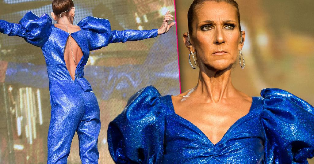 Celine Dion Looks Scary Skinny Performing In London