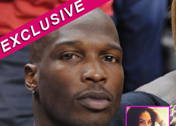 //chad johnson mistress chocolate