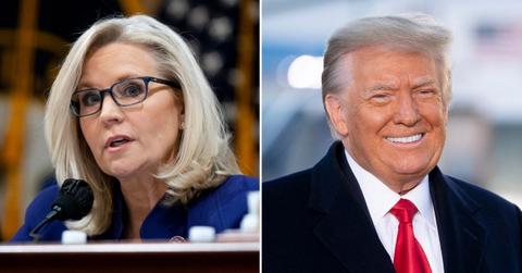 liz cheney fox news rise above politics ditch donald trump