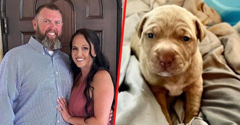 A Florida mom claims her estranged husband has been threatening to share an alleged video of her with the family dog for years.