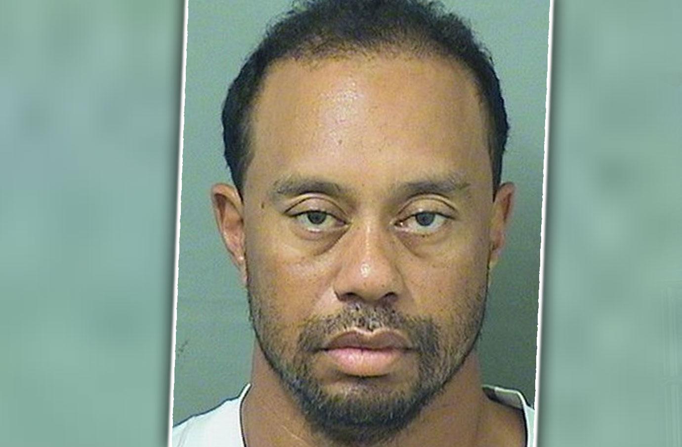 Tiger Woods Arrested DUI Florida