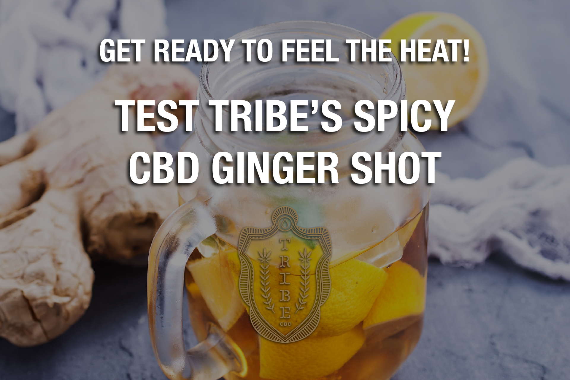 Get Ready To Feel The Heat! — Test Tribe’s Spicy CBD Ginger Shot