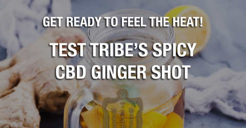 Get Ready To Feel The Heat! — Test Tribe’s Spicy CBD Ginger Shot