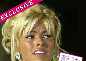 //anna nicole smith irs taxes splash
