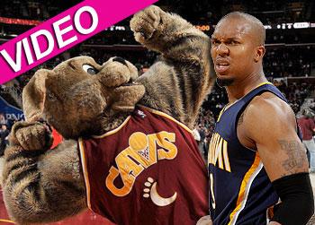 //david west moondog