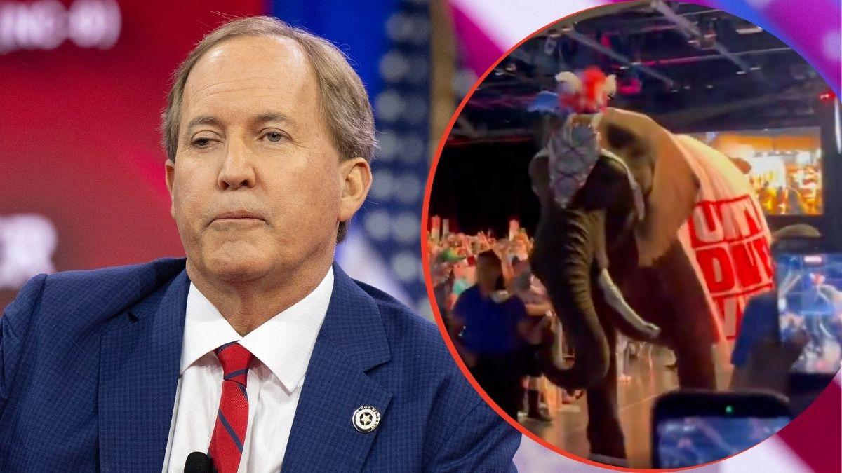 split image of Ken Paxton and an elephant