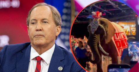 split image of Ken Paxton and an elephant