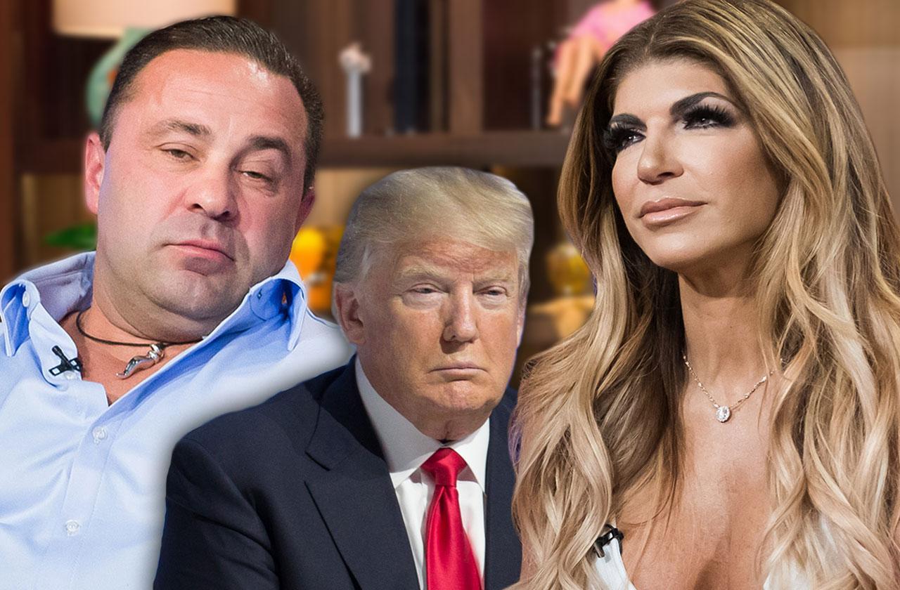 Teresa Giudice Asks Donald Trump Not Deport Husband