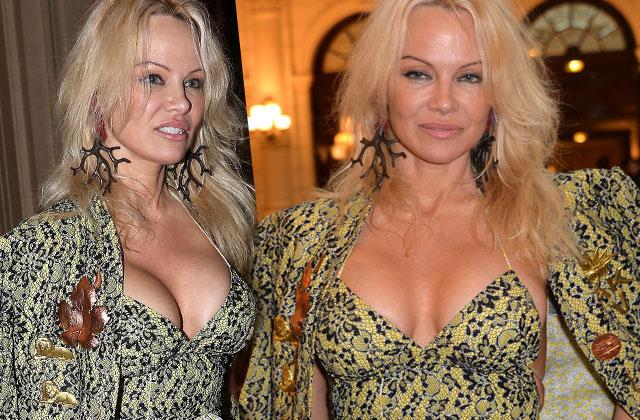 Pamela Anderson Wardrobe Malfunction Boobs Nip Slip Vivienne Westwood Show