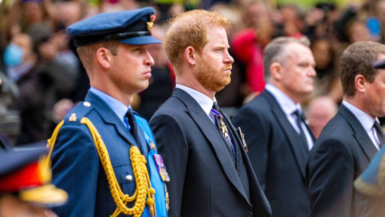 Photo of Prince William, Prince Harry