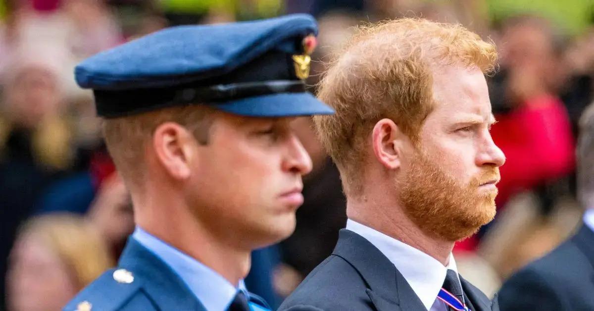 Harry Faces Backlash After Denying Accusations He Called Royal Family Racist