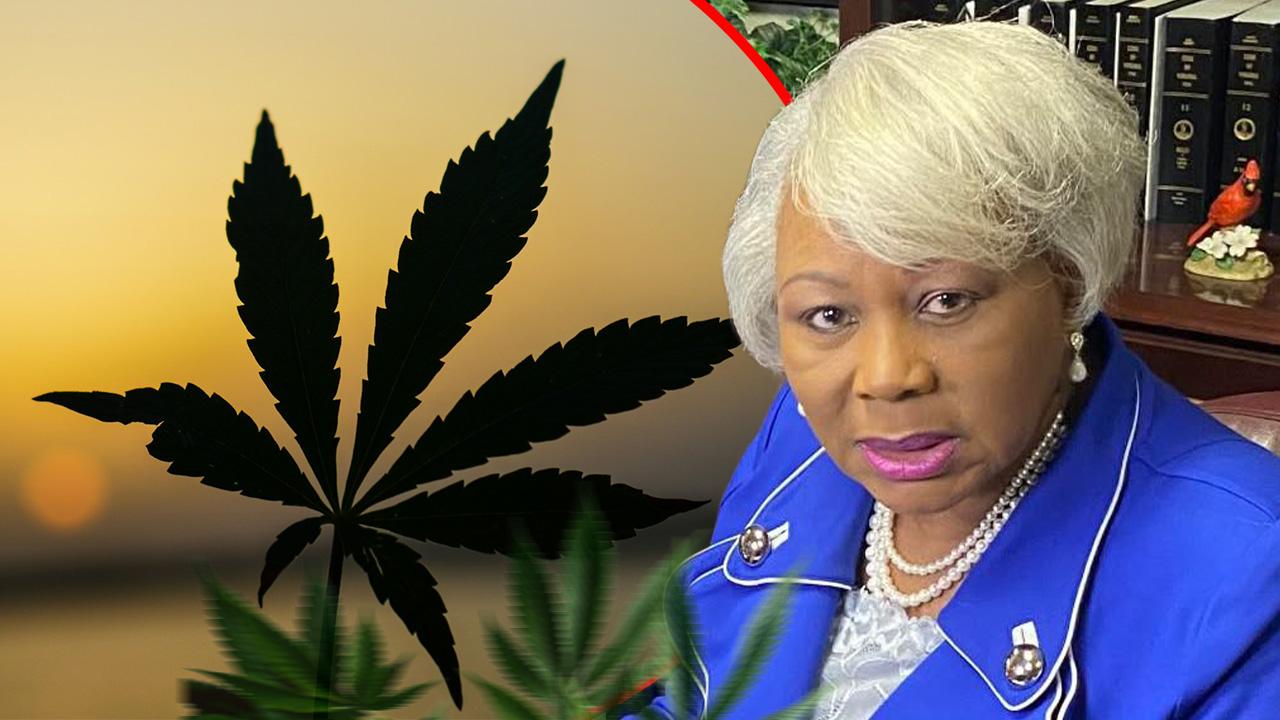 Virginia state senator L. Louise Lucas has been arrested in a drug bust.
