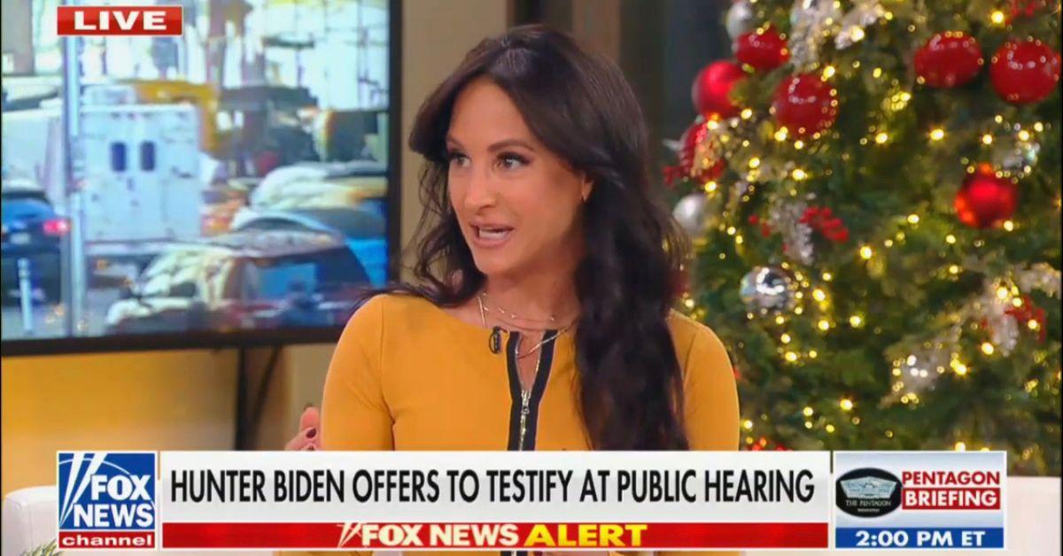 Fox News Host Trashes Hunter Biden for Offering to Testify Before House GOP