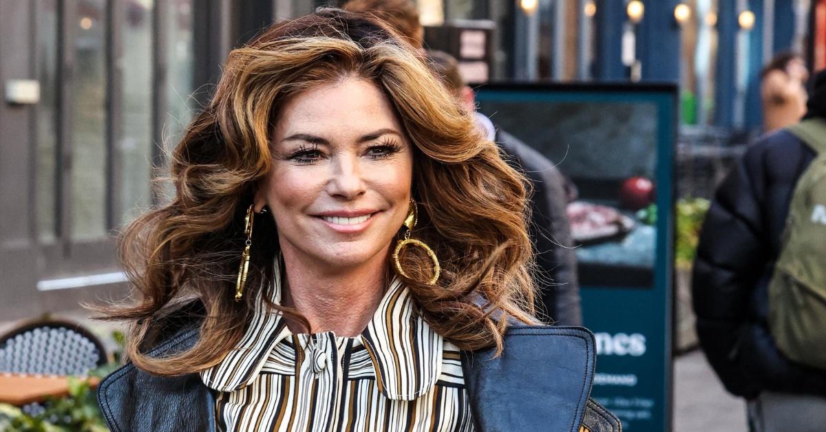 Shania Twain Crew Members Hospitalized After Highway Accident