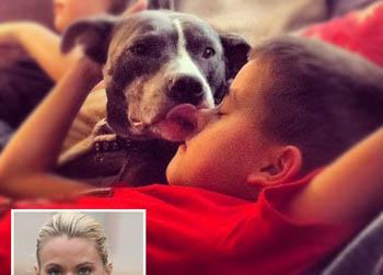 //kate gosselin kids pitbull