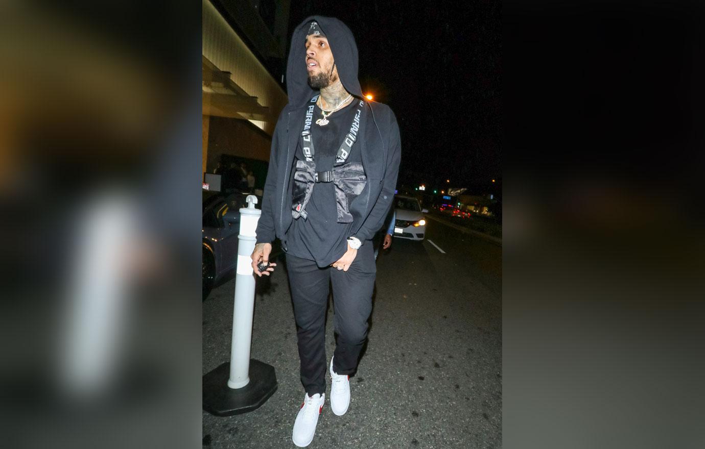 Chris Brown Seen With Mystery Woman While Expecting Child