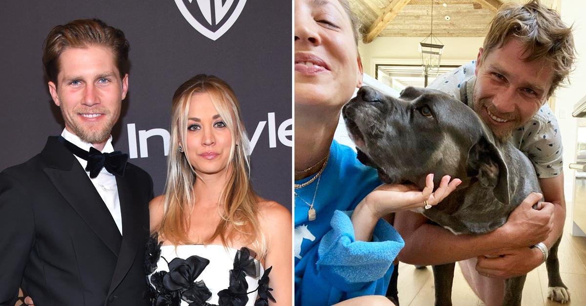 kaley cuoco husband karl cook breakup pit bull adopted split