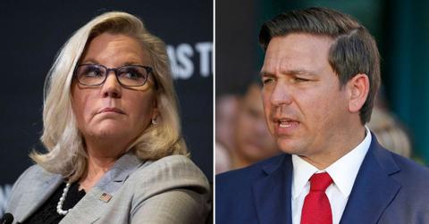 liz cheney ron desantis unfit for office january pardon remarks