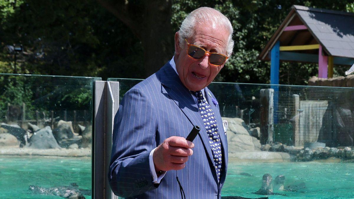 Photo of King Charles