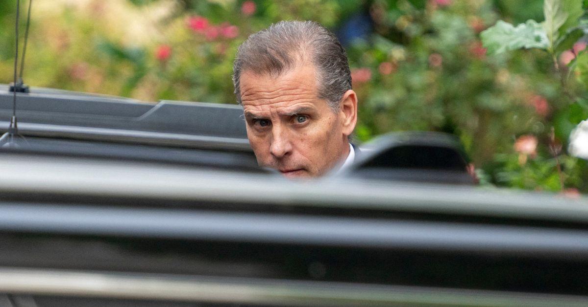 hunter biden withdrew  atm met drug dealer before gun purchase text