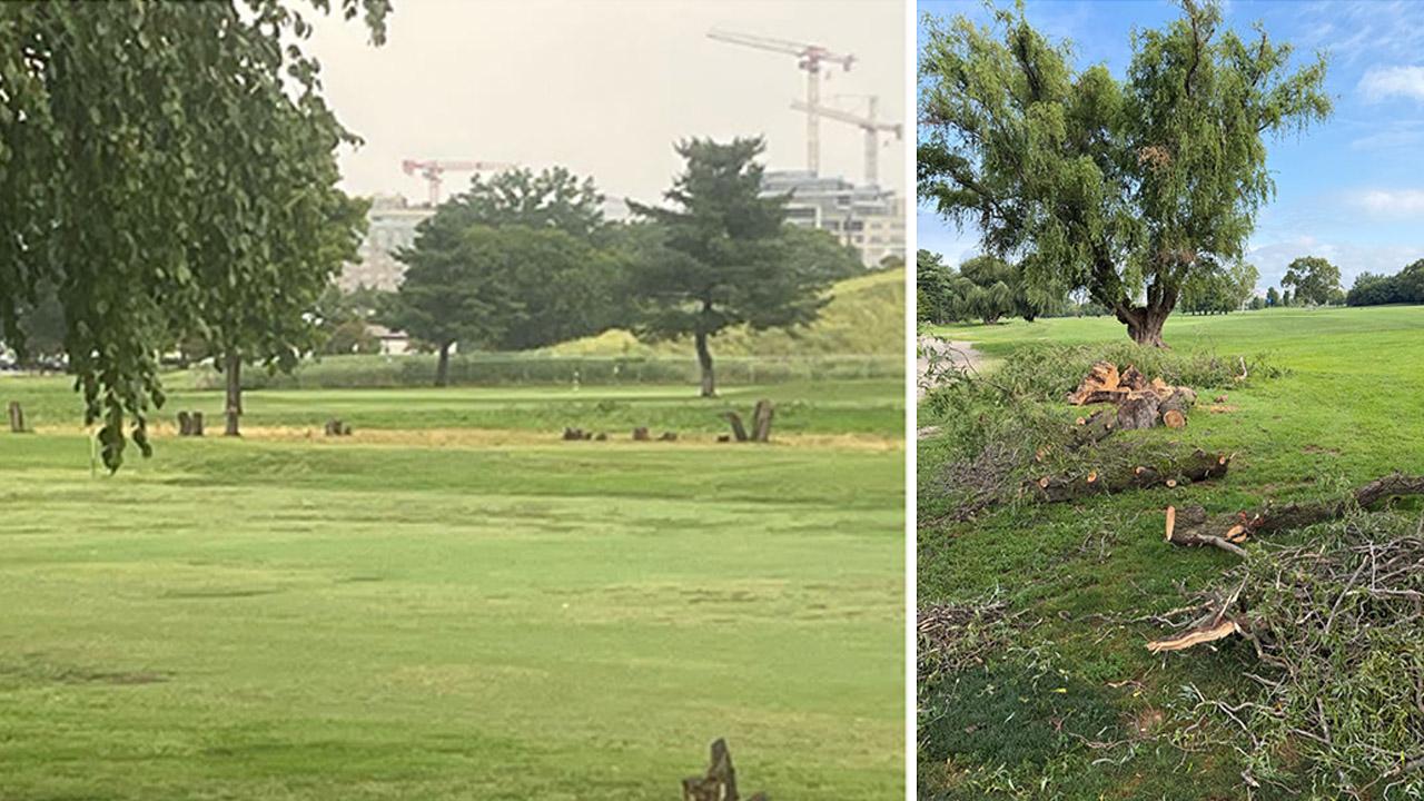 East Potomac Golf