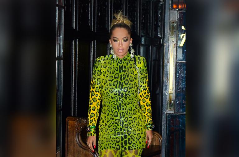 Rita Ora Rocks Green Leopard-Print Bodysuit-Like Outfit