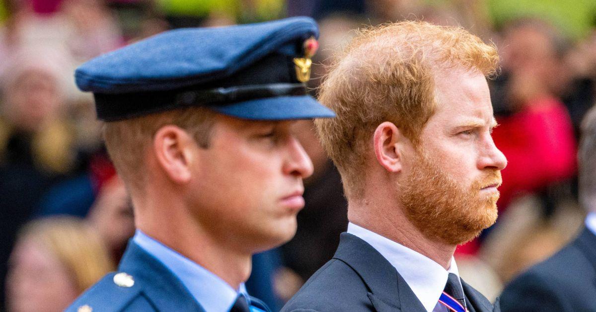 Prince Harry's New Netflix Series Set To 'Go To War With The Public' 