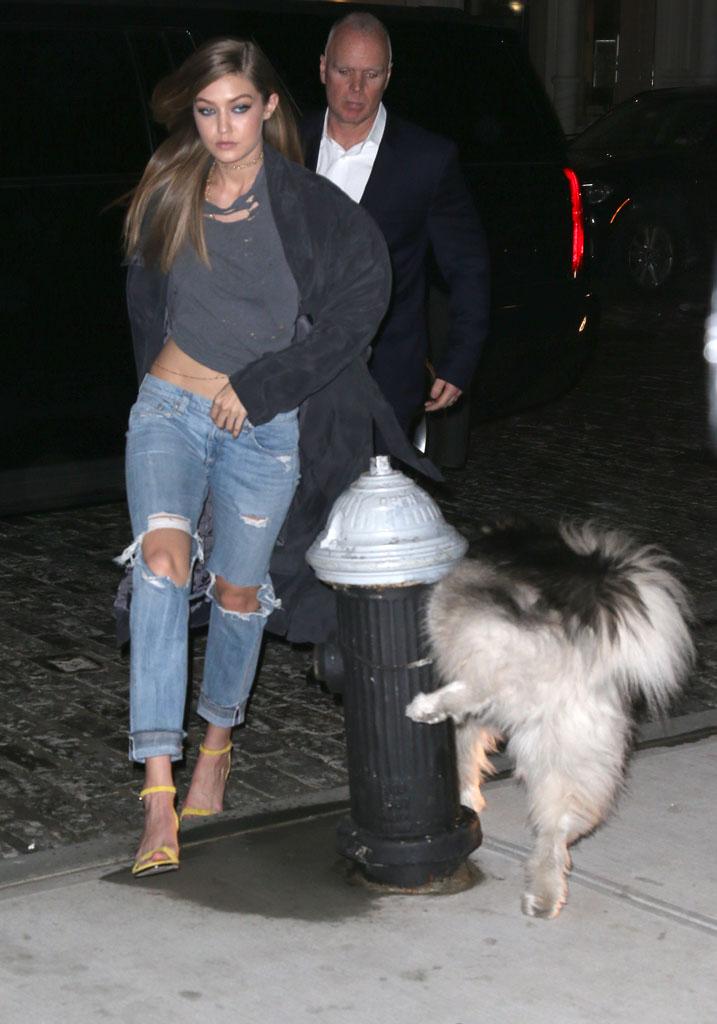 Gigi Hadid Dog Pee Accident NYC