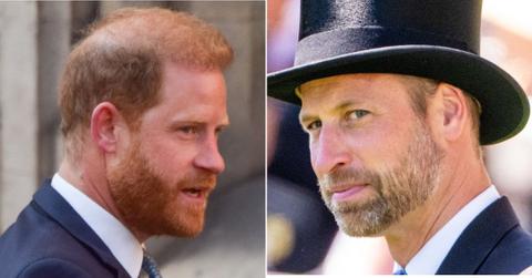 picture of prince harry and prince william