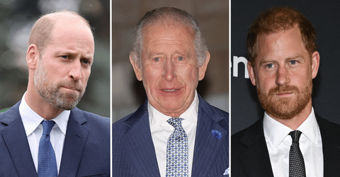 Split photo of Prince William, King Charles III, Prince Harry