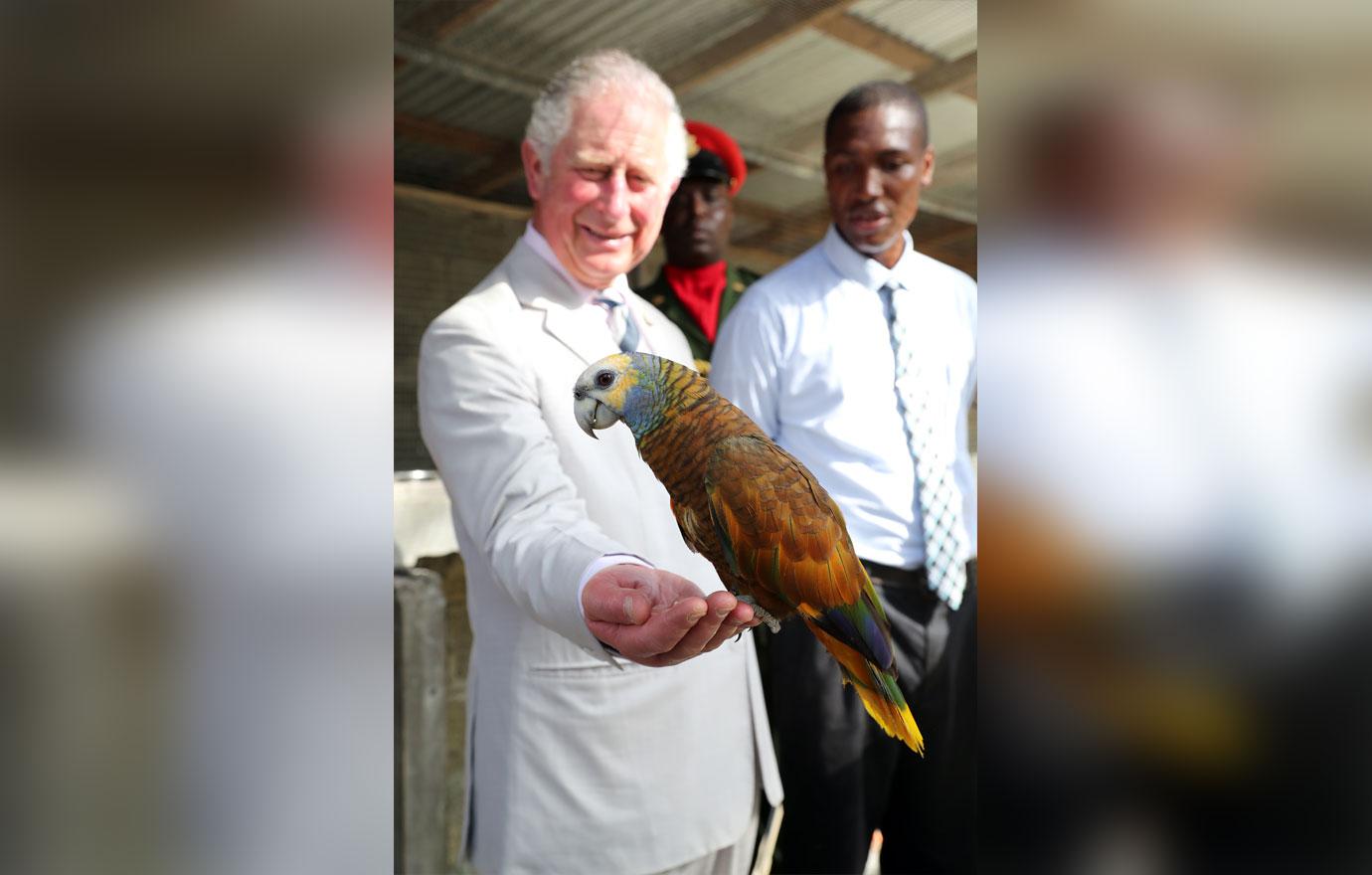 Prince Charles and Camilla Duchess of Cornwall Let Loose in the Caribbean