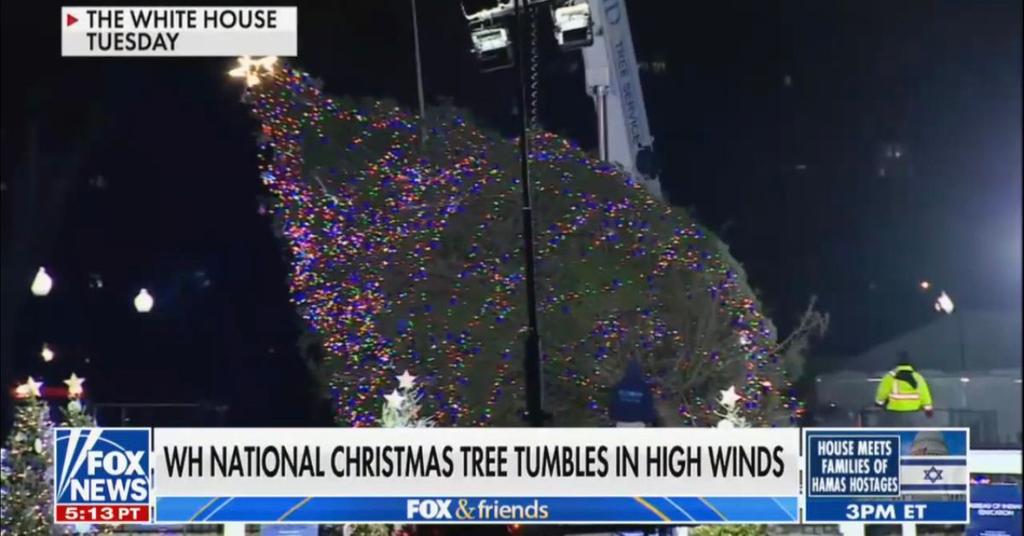 Fox News Cohosts Celebrate After White House Christmas Tree Falls Over