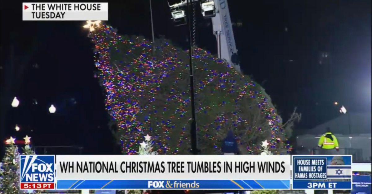 Fox News Cohosts Celebrate After White House Christmas Tree Falls Over