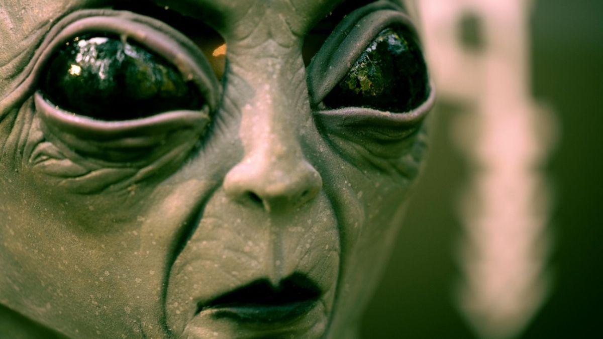 Photo of alien