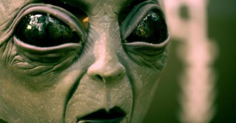 Photo of alien