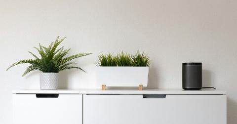 resultclaudio schwarz xydbvtpd unsplash