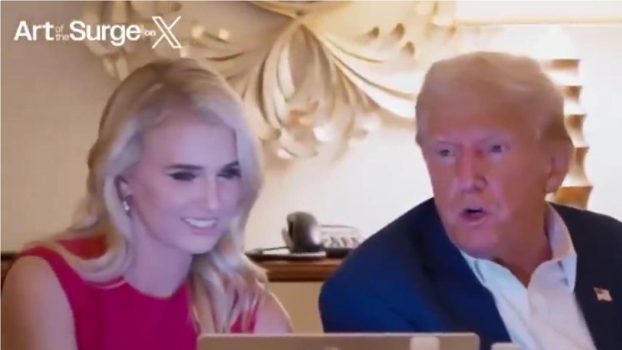 Harp has been seen at many of Trump's recent events and appearances.