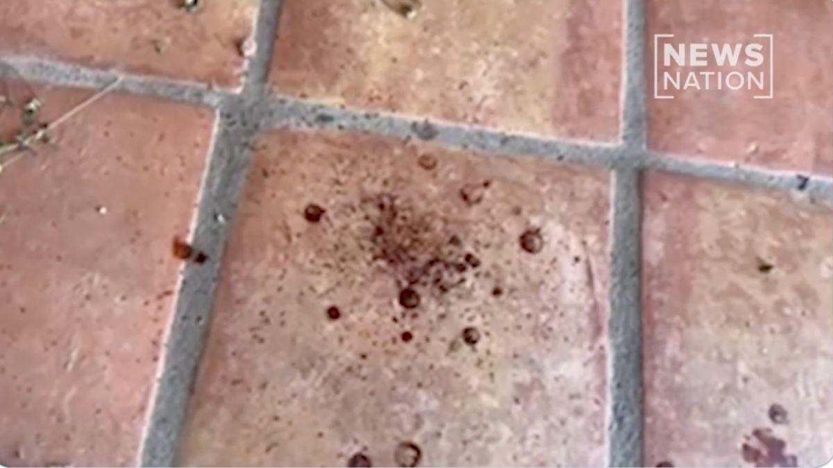 Photo of Nancy Guthrie blood splatter