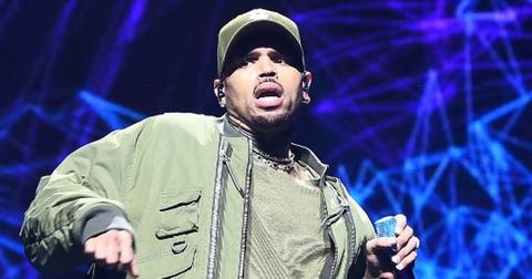 chris brown dog attack