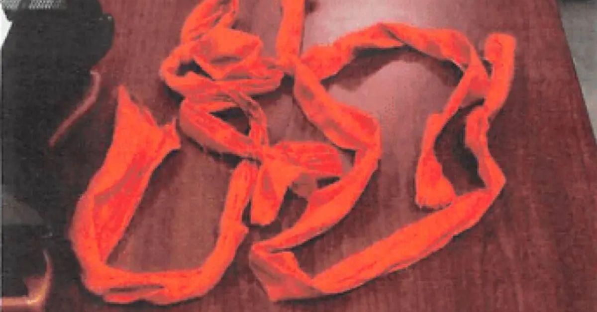 photo of jeffrey epstein noose