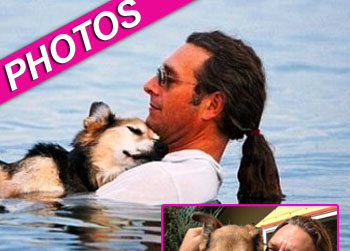 //schoep dog arthritis mend