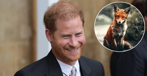 Photo of Prince Harry