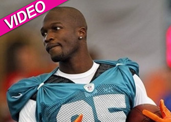 //pp_dolphinsmiamichad