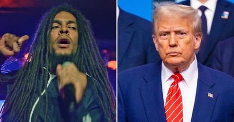 Split photo of Bobby Vylan, Donald Trump