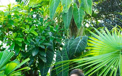 Megan Markle Splash Magazine