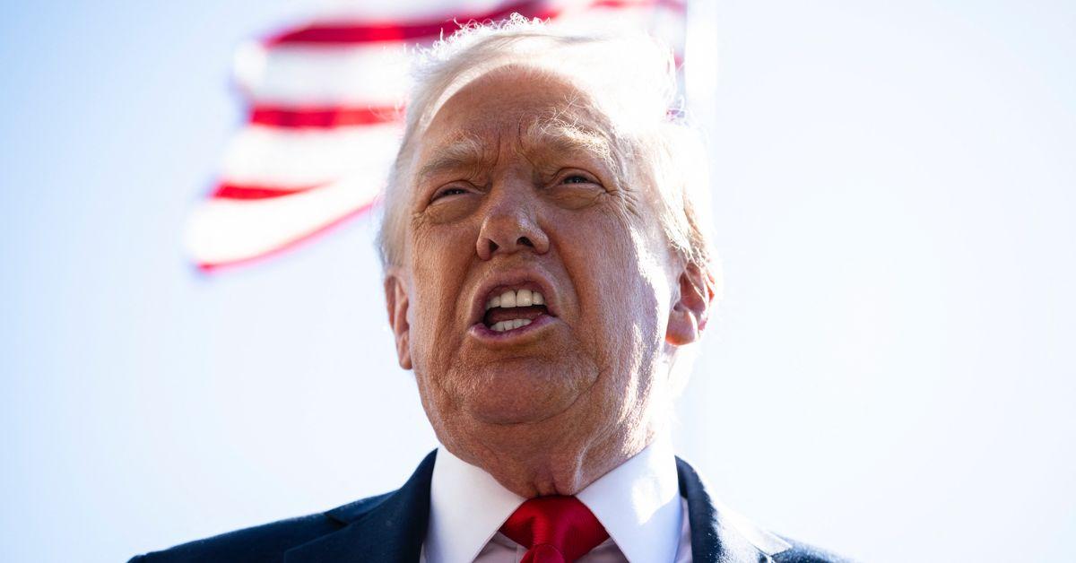 Photo of Donald Trump