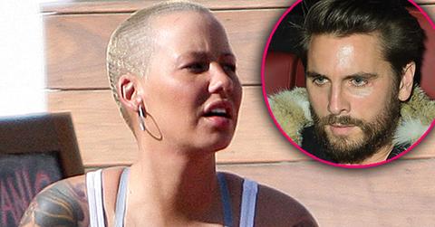 Amber Rose Scott Disick Photos Setup
